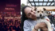 Jornada de adopción de mascotas en Bogotá este sábado en Theatron
