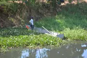 Joven desaparece en humedal de Mojica, oriente de Cali; Bomberos buscan sin éxito