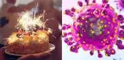 La fiesta de cumpleaños que desató la peor tragedia por hantavirus en Argentina
