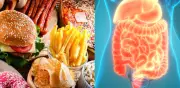 Los 5 riesgos silenciosos de los alimentos ultraprocesados en exceso