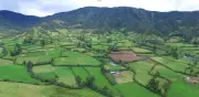Más de 900.000 hectáreas protegidas en Colombia para producción de alimentos
