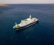 OMS y España apoyan investigación por brote de hantavirus en crucero