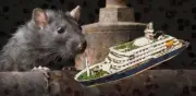 Pasajero de crucero con hantavirus critica la respuesta tras primera muerte