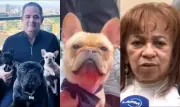 Perros de Germán Vargas Lleras habrían presentido su muerte, según asistente