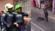 Policía dispara a perro durante operativo en Rionegro, Antioquia