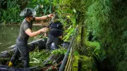 Policía y comunidad limpian el Lago de las Babillas en Bucaramanga