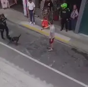 Polémica en Rionegro: perro muere por disparo policial en captura