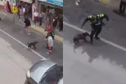 Polémica en Rionegro por muerte de perro baleado por la Policía