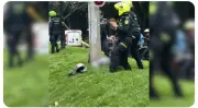 Presunto ladrón muere en Suba tras ser baleado por víctima de robo