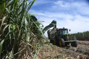 Procaña advierte: inseguridad jurídica y catastro impagable frenan el campo