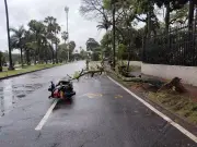 Rama de árbol cae sobre motociclista en el sur de Cali: mujer herida