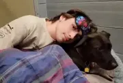 Refugio en EE.UU. realiza pijamada con perros para darles compañía