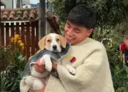 Rescatan a perrita abandonada en zona rural y le consiguen nueva familia