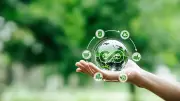 Sostenibilidad empresarial: rentabilidad y compromiso ambiental