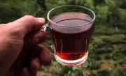 Té se consolida como bebida de moda en Colombia con crecimiento del 5,3% anual