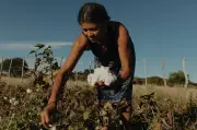 VEJA presenta documental sobre su cadena productiva en Brasil