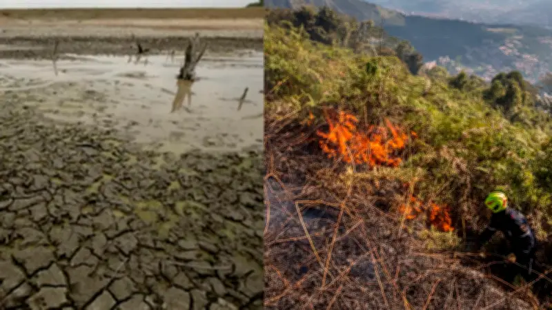 13 municipios de Santander en alerta por posible llegada del fenómeno de El Niño