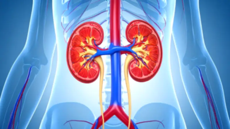 8 reglas de oro para cuidar la salud renal en niños y adolescentes