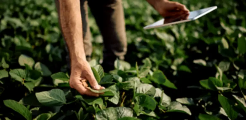 Agro colombiano cae 1,4% en 2026 por clima y costos altos
