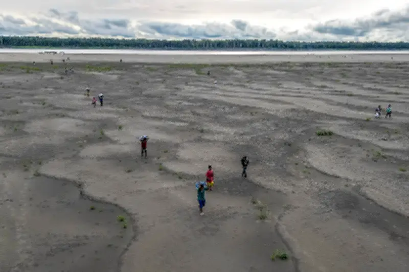 Alemania acoge cumbre por protección de la Amazonía ante El Niño