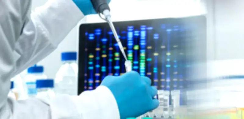 AlgaeVisión: proyecto universitario detecta microalgas con IA y alta precisión