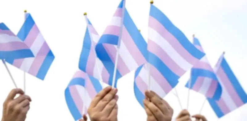 Así deben tratar los jurados de votación a personas trans en elecciones