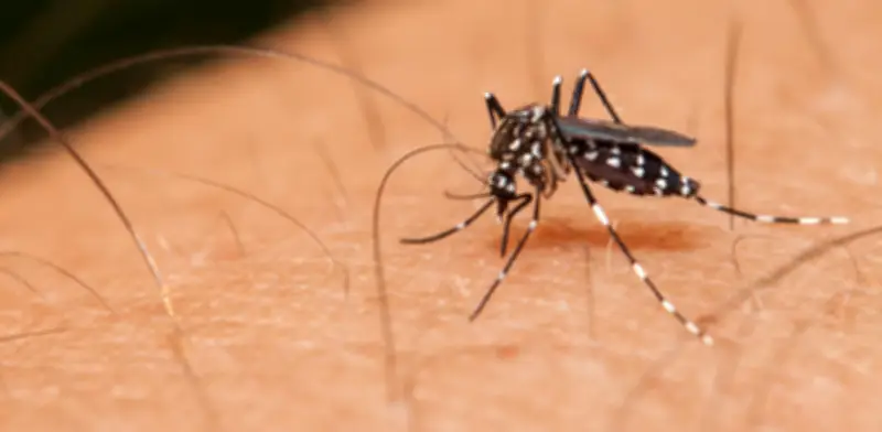 Atlántico en alerta: cinco municipios con riesgo por dengue y más de 3.400 casos