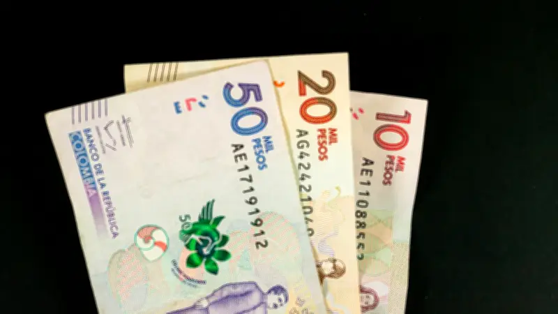 Auxilio de conectividad: empleados podrían recibir más de 200.000 pesos