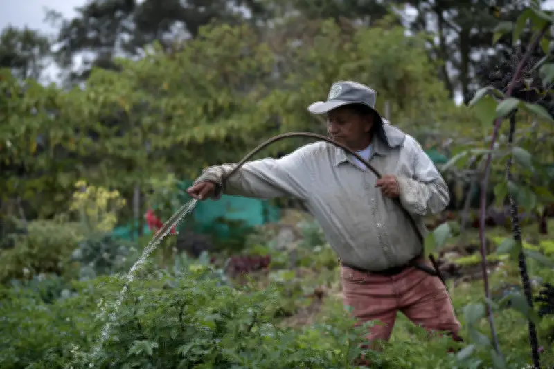 Banco Agrario desembolsó COP 44 billones en créditos para el campo