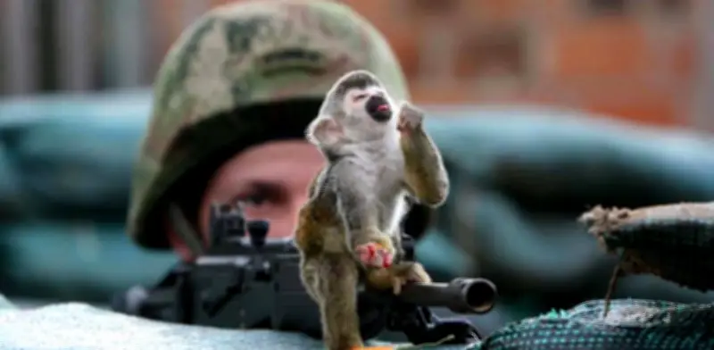 Cada 30 minutos un animal sufre el conflicto armado en Colombia