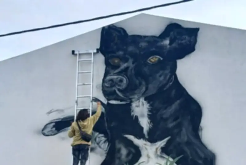 Carbón, el perro que es parte de la escuela y la comunidad en Concordia