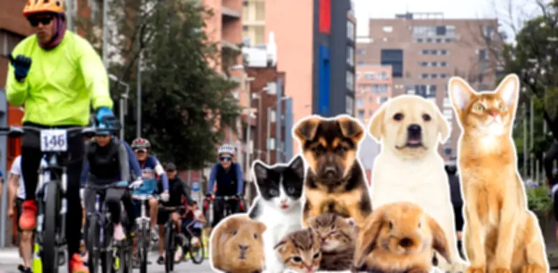 Ciclovía de Bogotá: estaciones 'pit stop' para mascotas hasta 2026