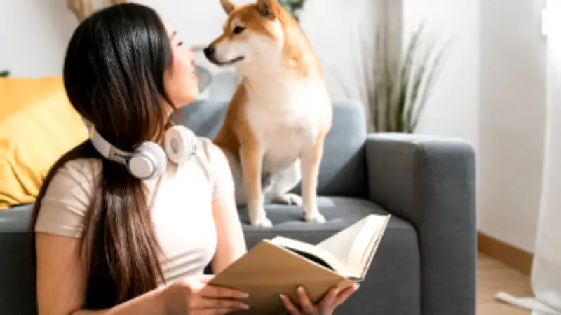 Científicos descubren qué parte del rostro humano miran primero los perros
