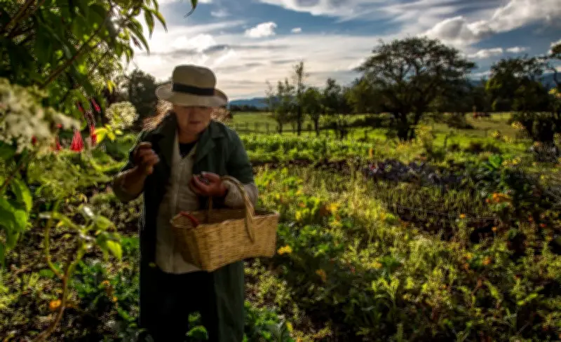 Clementina Barajas: la historia de la abuela que creó una huerta agroecológica sin químicos