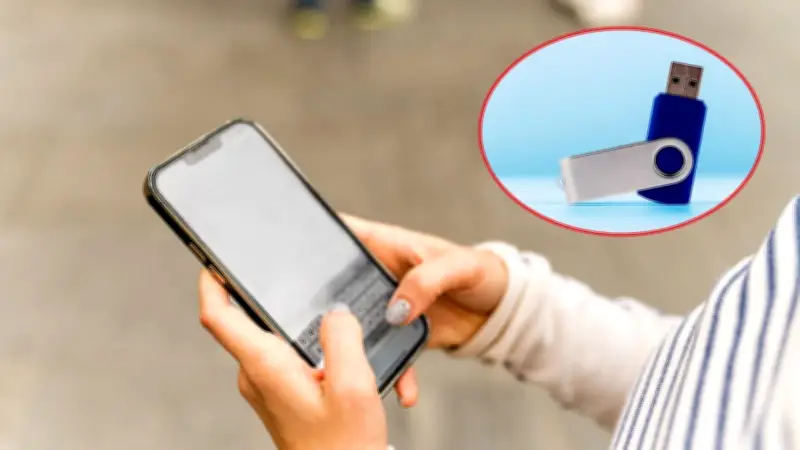 Cómo transferir archivos del celular a una USB sin computador
