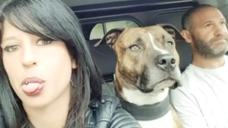 Condenan a hombre por muerte de su novia embarazada atacada por pitbull