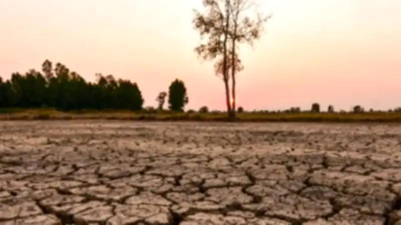 Confirmado: El Niño récord amenaza Colombia con sequía e incendios