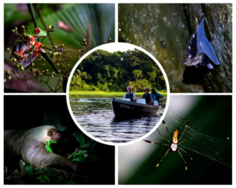 Costa Rica cautiva a colombianos: más de 34 mil viajeros en 2025