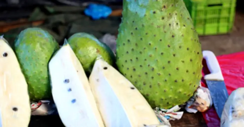 Cultivos ideales para sembrar cerca del árbol de guanábana
