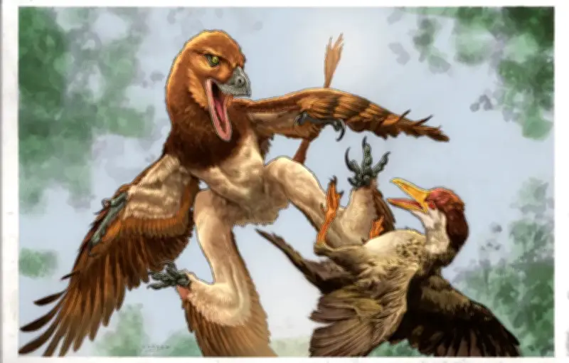 Descubren nueva especie de dinosaurio 'pariente' del velociraptor en China