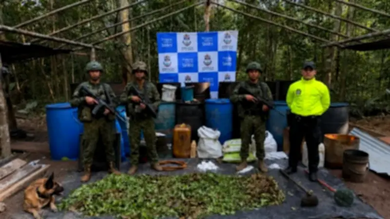 Destruyen cinco laboratorios de coca en Vichada