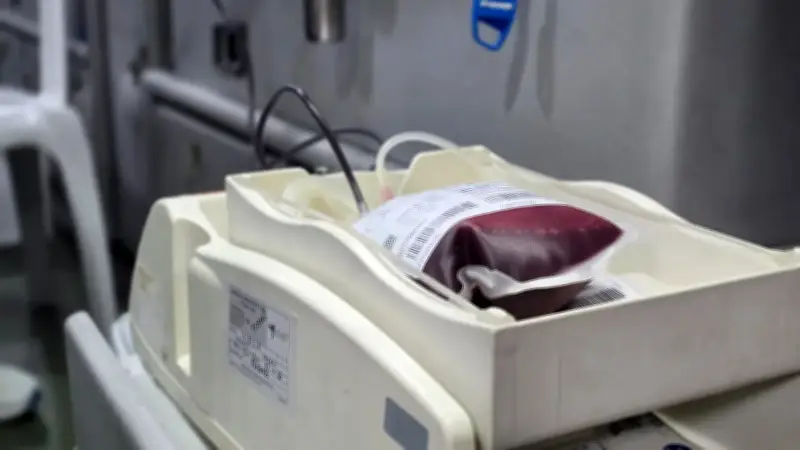 Donafest: jornada para fomentar la donación recurrente de sangre en Medellín