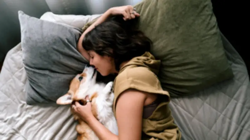 Dormir con mascotas: los riesgos ocultos para la salud según expertos