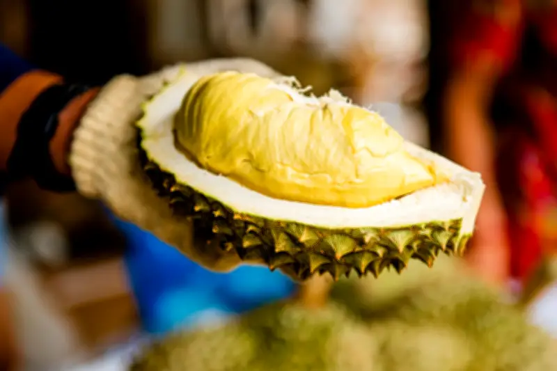 Durian: el rey de las frutas que divide opiniones por su aroma