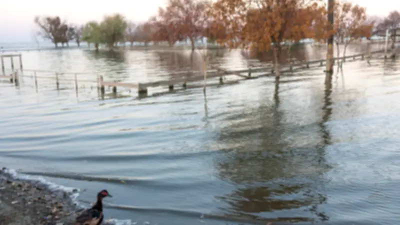 El lago fantasma que desaparece y reaparece: el misterio de los peces