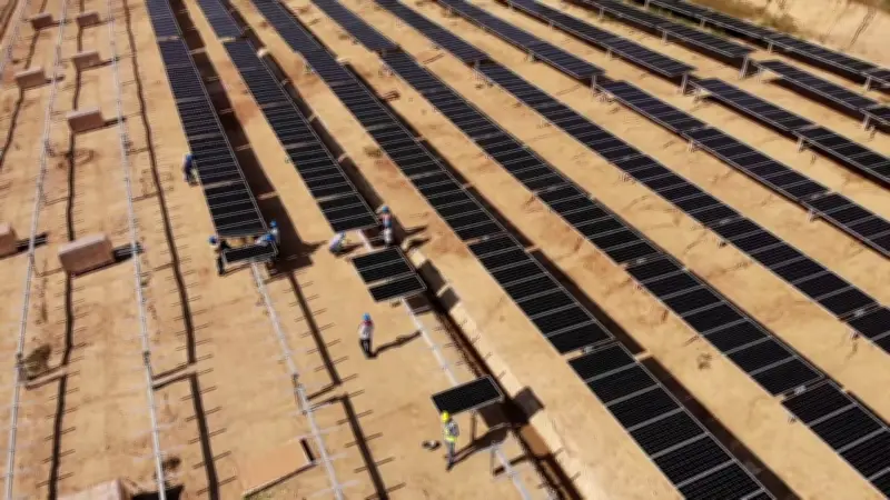 Empresa cartagenera lidera expansión solar en el Caribe y pide reglas claras