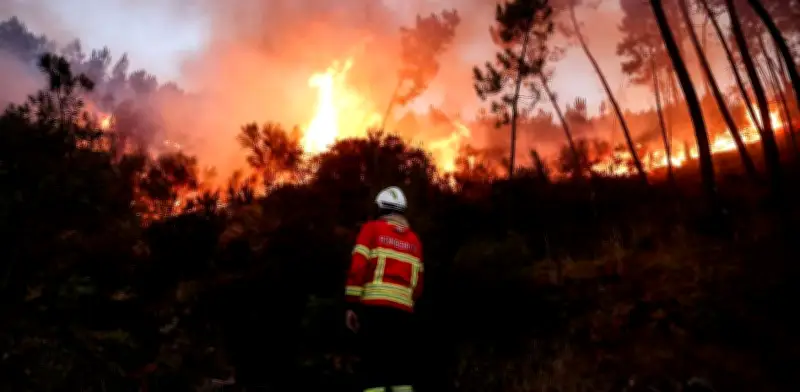 Europa vivió en 2025 su año más extremo: calor récord, glaciares en retroceso e incendios históricos