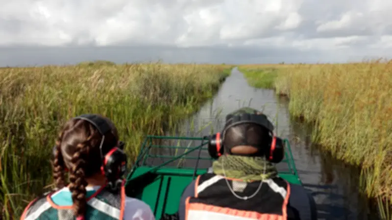 Everglades: el humedal más grande de Norteamérica y su imperdible tour en hidrodeslizador