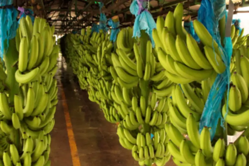 Exportaciones colombianas crecen 11,7% en abril impulsadas por petróleo
