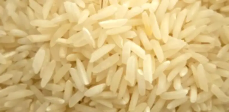 Fedearroz alerta riesgos para el arroz por El Niño